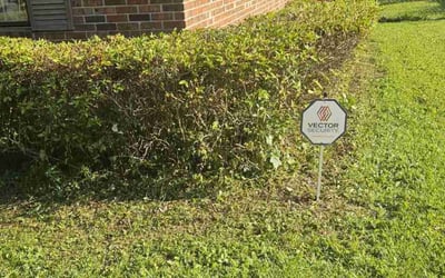Photo of James S.'s yard after getting landscaping in Pooler, GA