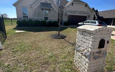 Photo of Michael H.'s yard after getting landscaping in Whitt, TX