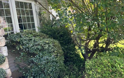 Photo of James J.'s yard after getting landscaping in Reading, PA