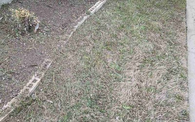 Photo of Diana R.'s yard after getting landscaping in Bridgeport, TX