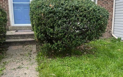 Photo of Thomas D.'s yard after getting landscaping in Woodbridge, VA