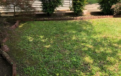 Photo of Karen S.'s yard after getting landscaping in Greenbrier, TN