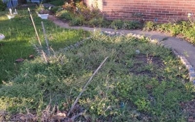 Photo of Trevor S.'s yard after getting landscaping in Marshall, VA