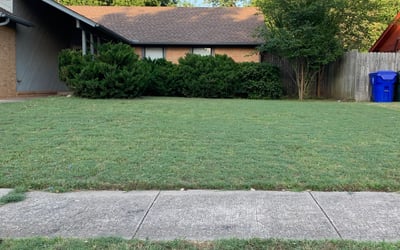 Photo of Angela T.'s yard after getting landscaping in Meeker, OK