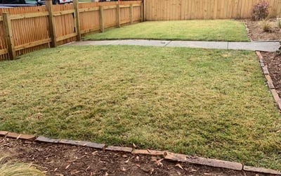 Photo of Chris L.'s yard after getting landscaping in Bowdon, GA