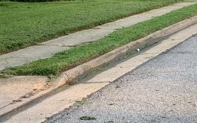 Photo of Kyle S.'s yard after getting landscaping in Gatesville, NC