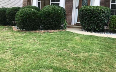 Photo of Allen J.'s yard after getting tree care in Dallas, GA