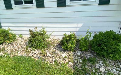 Photo of Jacob L.'s yard after getting landscaping in Verona, KY