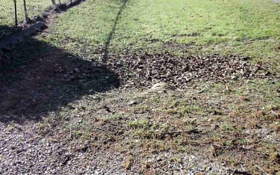Photo of Linda K.'s yard after getting landscaping in Denison, TX
