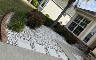 Photo of Jason S.'s yard after getting landscaping in Elfers, FL