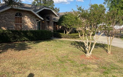 Photo of Elizabeth F.'s yard after getting landscaping in Deltona, FL