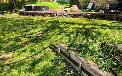 Photo of Greg H.'s yard after getting landscaping in Washington, PA