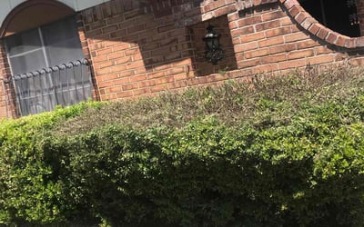 Photo of Stephen A.'s yard after getting landscaping in Duncanville, TX
