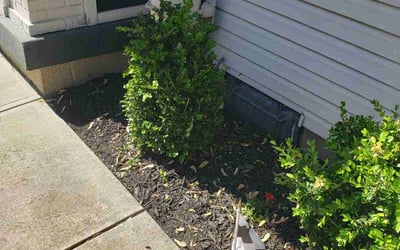 Photo of Dalton S.'s yard after getting landscaping in Indianapolis, IN