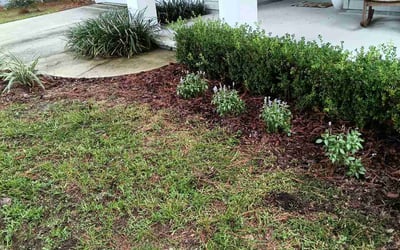 Photo of Enrique C.'s yard after getting tree care in Jacksonville, FL