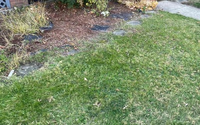 Photo of Matthew C.'s yard after getting landscaping in Lagrange, OH