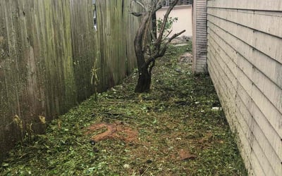 Photo of Lisa S.'s yard after getting landscaping in Canal Point, FL