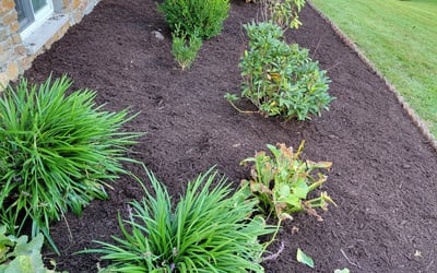 Photo of Nick K.'s yard after getting landscaping in Adamstown, MD
