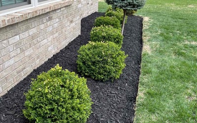 Photo of Tina B.'s yard after getting landscaping in Scottsburg, IN