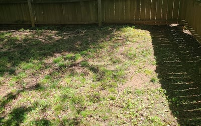 Photo of Grace C.'s yard after getting landscaping in Gibsonville, NC