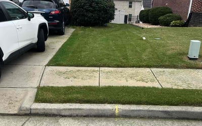 Photo of Camillus J.'s yard after getting tree care in Clarkston, GA