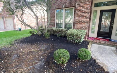 Photo of Jacklin S.'s yard after getting landscaping in San Felipe, TX