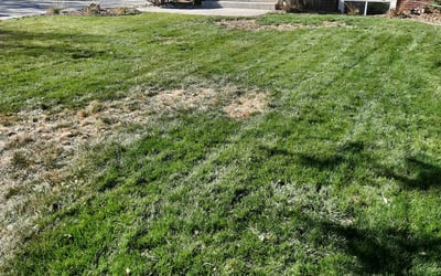 Photo of Melanie L.'s yard after getting landscaping in Idaho Springs, CO
