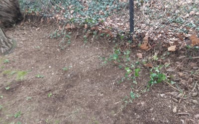 Photo of Brian G.'s yard after getting landscaping in Granite Falls, WA