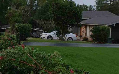 Photo of John C.'s yard after getting tree care in Chattanooga, TN