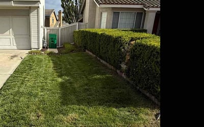 Photo of Stephanie S.'s yard after getting landscaping in Riverside, CA