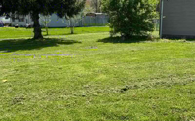 Photo of Mary C.'s yard after getting landscaping in Mount Orab, OH