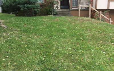 Photo of Evelyn R.'s yard after getting landscaping in Odessa, MO