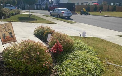 Photo of Pamela H.'s yard after getting landscaping in Barco, NC