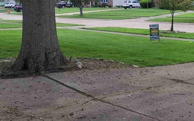 Photo of David C.'s yard after getting landscaping in Lagrange, OH