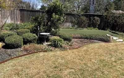 Photo of Paul S.'s yard after getting landscaping in Helotes, TX