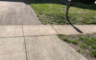 Photo of Megan C.'s yard after getting tree care in Bethesda, MD