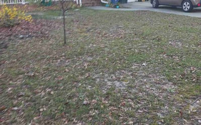 Photo of Tamara M.'s yard after getting landscaping in Camden, SC