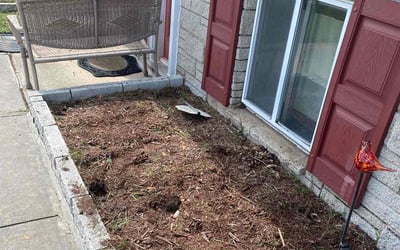 Photo of Liz S.'s yard after getting landscaping in Brooklyn, MD