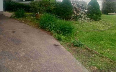 Photo of Kathleen M.'s yard after getting landscaping in Broomes Island, MD