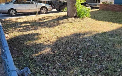 Photo of Dee T.'s yard after getting landscaping in Sun Valley, NV