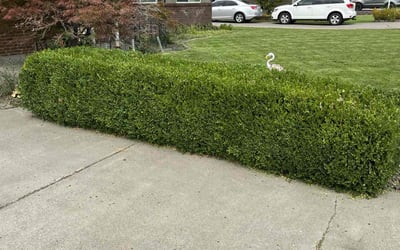 Photo of Jonathan R.'s yard after getting landscaping in Yakima, WA