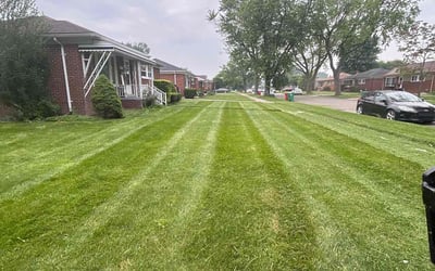 Photo of James K.'s yard after getting landscaping in Kalkaska, MI