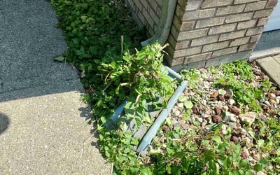 Photo of Robert C.'s yard after getting landscaping in Alexandria, IN