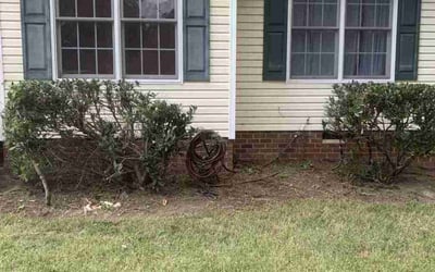 Photo of EDWARD S.'s yard after getting landscaping in King William, VA