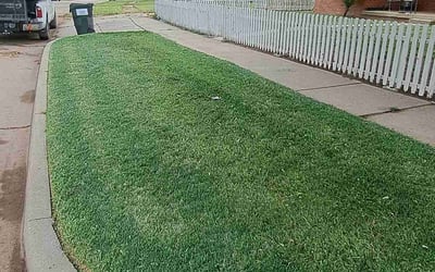 Photo of Nancy S.'s yard after getting landscaping in Valley Center, KS