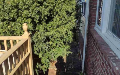 Photo of Leon C.'s yard after getting landscaping in Northford, CT