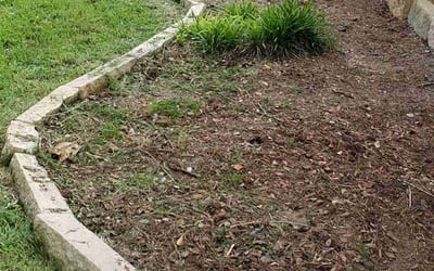 Photo of Emily B.'s yard after getting landscaping in Red Rock, TX