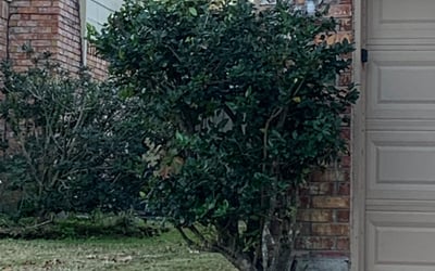 Photo of Paul M.'s yard after getting landscaping in Kenney, TX