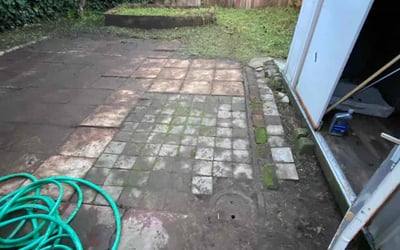 Photo of Michael C.'s yard after getting landscaping in Dublin, CA