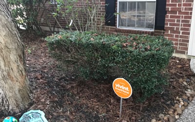 Photo of Kristopher G.'s yard after getting tree care in Angleton, TX